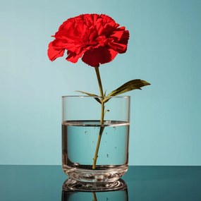 Poszter 80x80cm Virág üvegben