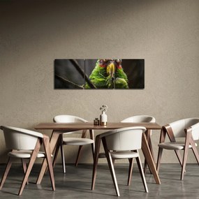 Papagáj képe (órával) (90x30 cm)