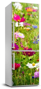 Matrica hűtőre Field virágok FridgeStick-70x190-f-169402975