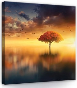 Vászonkép 80x80 Napfelkelte Naplemente Fa Tó Víz Ég Madarak