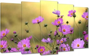 Vászonkép 100x60 Finom virágok a réten