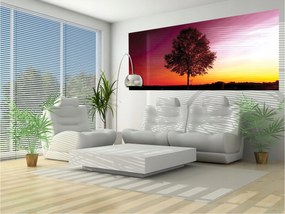 Fotótapéta Fa a naplementében színes horizont 250x104 +ragasztó