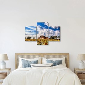 Napraforgó mező képe (90x60 cm)