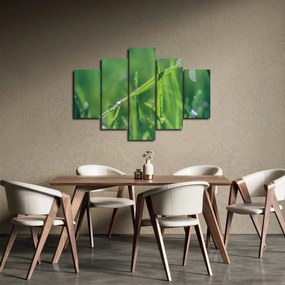 Harmat cseppek képe (150x105 cm)