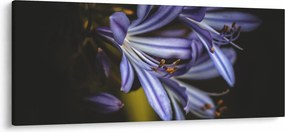 Kép - Lila (120x50 cm)