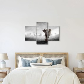 Kép -Elefánt egy nagyvárosban, fekete-fehér változat (90x60 cm)