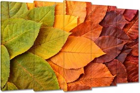 Vászonkép 150x95 Őszi színes levelek Levelek az ősz színeiben