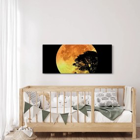 Árnyékok a holdfényben képe (120x50 cm)