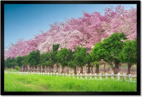 Poszterek keretben 60x40 Cseresznye tájkép