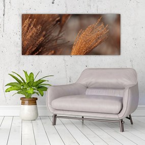 Kép - Cortaderia (120x50 cm)