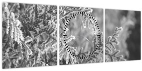 Kép - Lucfenyő erdő (órával) (90x30 cm)