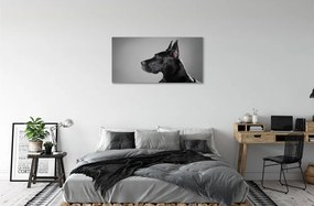 Canvas képek Fekete kutya 125x50 cm
