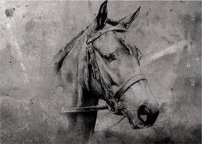 Kép - Egy ló portréja (70x50 cm)