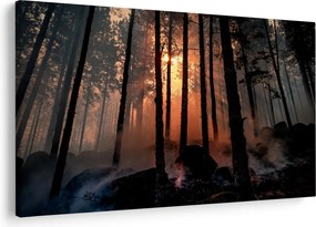 Sötét erdő képe (90x60 cm)