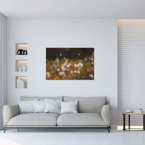 Kép - Gyapotfűvel borított rét N⁰2 (90x60 cm)