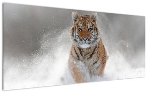 Futó tigris a hóban képe (120x50 cm)