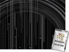 Fotótapéta Absztrakt Fekete Fehér Hálószoba Nappali Tapéta Flizelina 350x250