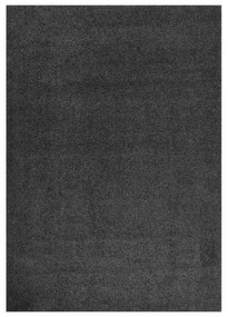 Antracitszürke hosszú szálú bozontos szőnyeg 120 x 170 cm