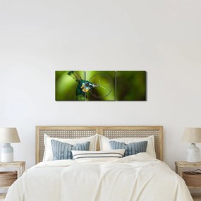 Páva képe (órával) (90x30 cm)
