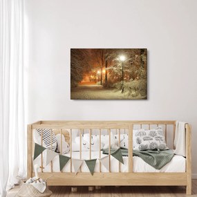 Kép - havas park (90x60 cm)