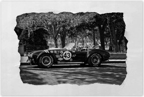 Poszterek 60x40 Shelby