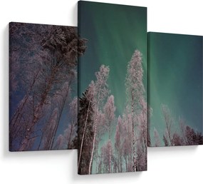 Az aurora borealis képe fagyos fák felett (90x60 cm)