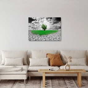 Kép - egy darab természet a városban (70x50 cm)
