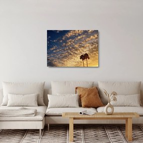 Kép - Pálmafák a felhők között (üvegen) (70x50 cm)