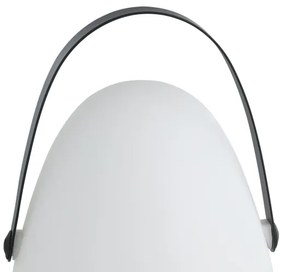 Eglo 48841 - LED Kültéri asztali lámpa COLLIRADOS LED/3xAA IP44