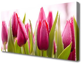 Vászonkép nyomtatás Tulipán virágok Plant 125x50 cm