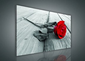 Vászonkép, Vörös rózsa, 80x60 cm méretben