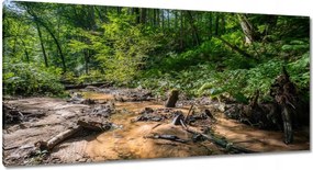 Vászonkép 115x55 Folyó Trópusi erdő