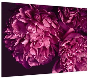 Kép - Csokor pünkösdi rózsa (70x50 cm)