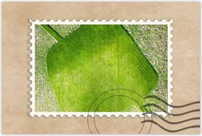 Poszterek 60x40 Fű mező rét út