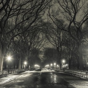 Poszter 30x30cm Éjszakai kilátás a Central Parkon át vezető útra, Assaf Frank