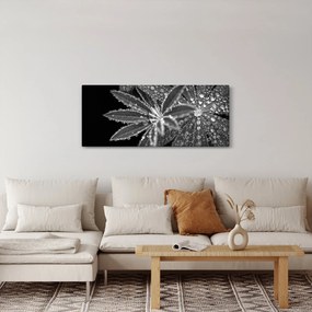 Kép - Levelek cseppekkel (120x50 cm)