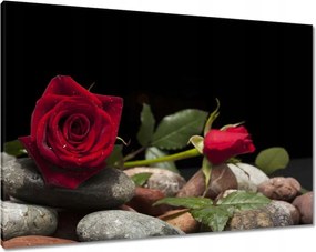 Vászonkép 100x70 Spa Wellness Relaxáció Víz