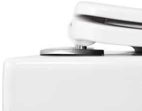Delano fali rimless WC soft-close ülőkével