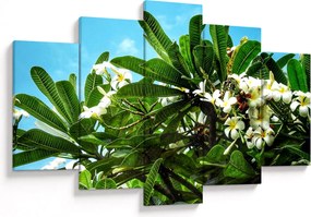 Kép - Plumeria (150x105 cm)