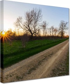 Vászonkép 60x60 Mező út Fák Mezők