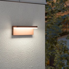 Brilagi - LED kültéri fali lámpa TESSI LED/10W/230V barna IP54