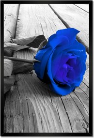 Poszterek keretben 40x60 Tintarózsa