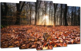 Festmények 100x60 Kihalás fenyegeti