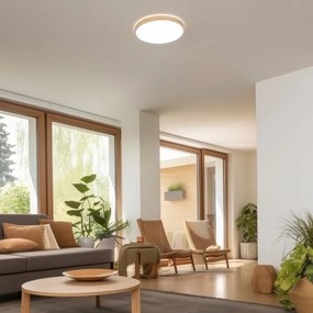 Brilagi - Fényerőszabályozható LED mennyezeti lámpatest PINE LED/24W/230V + távirányító