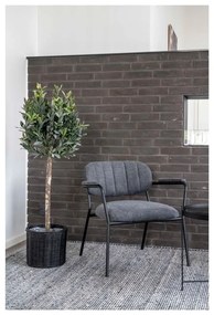 Olajfa műnövény (magasság 126 cm) – House Nordic