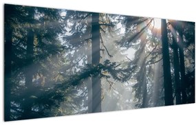 Fák képe a ragyogó nappal (120x50 cm)