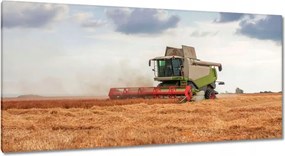 Képek 115x55 Kombájn a gabonamezőn