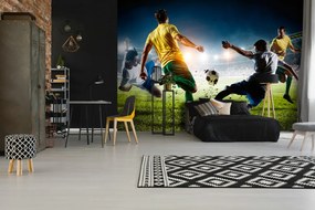 Foci poszter, fotótapéta Vlies (254 x 184 cm)