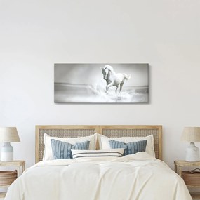 Kép - Fehér ló (120x50 cm)