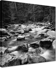 Vászonkép 30x30 Tátra Lengyel hegyek Kilátás